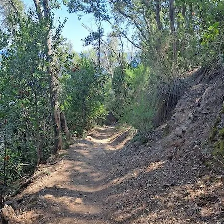 Relax Isola D'elba Rio Marina