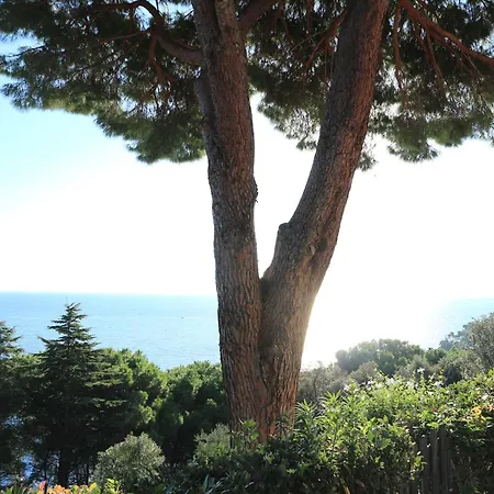 Relax Isola D'elba Apartment *