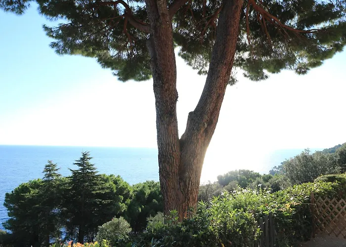 Relax Isola D'elba Appartement *